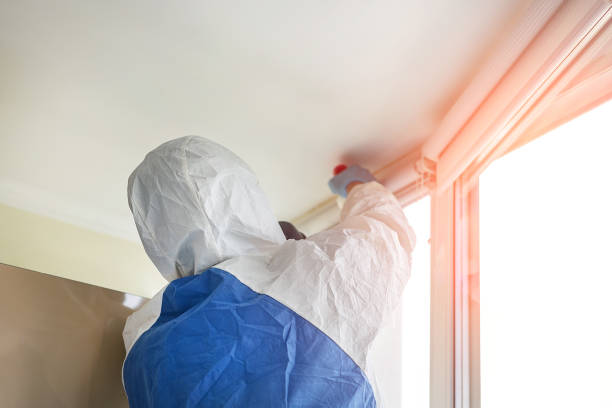 Why You Should Choose Our Mold Remediation Services in Arlington, MN