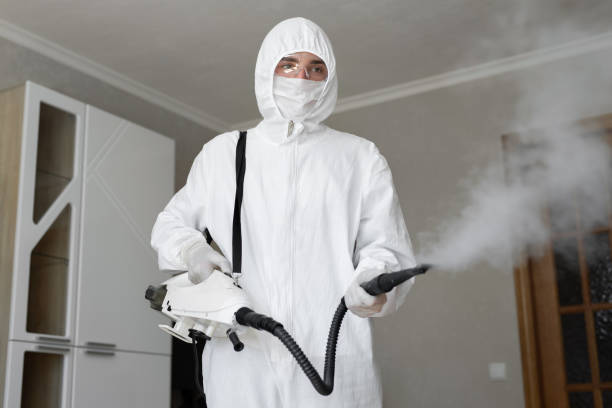 Arlington, MN Mold Removal Company